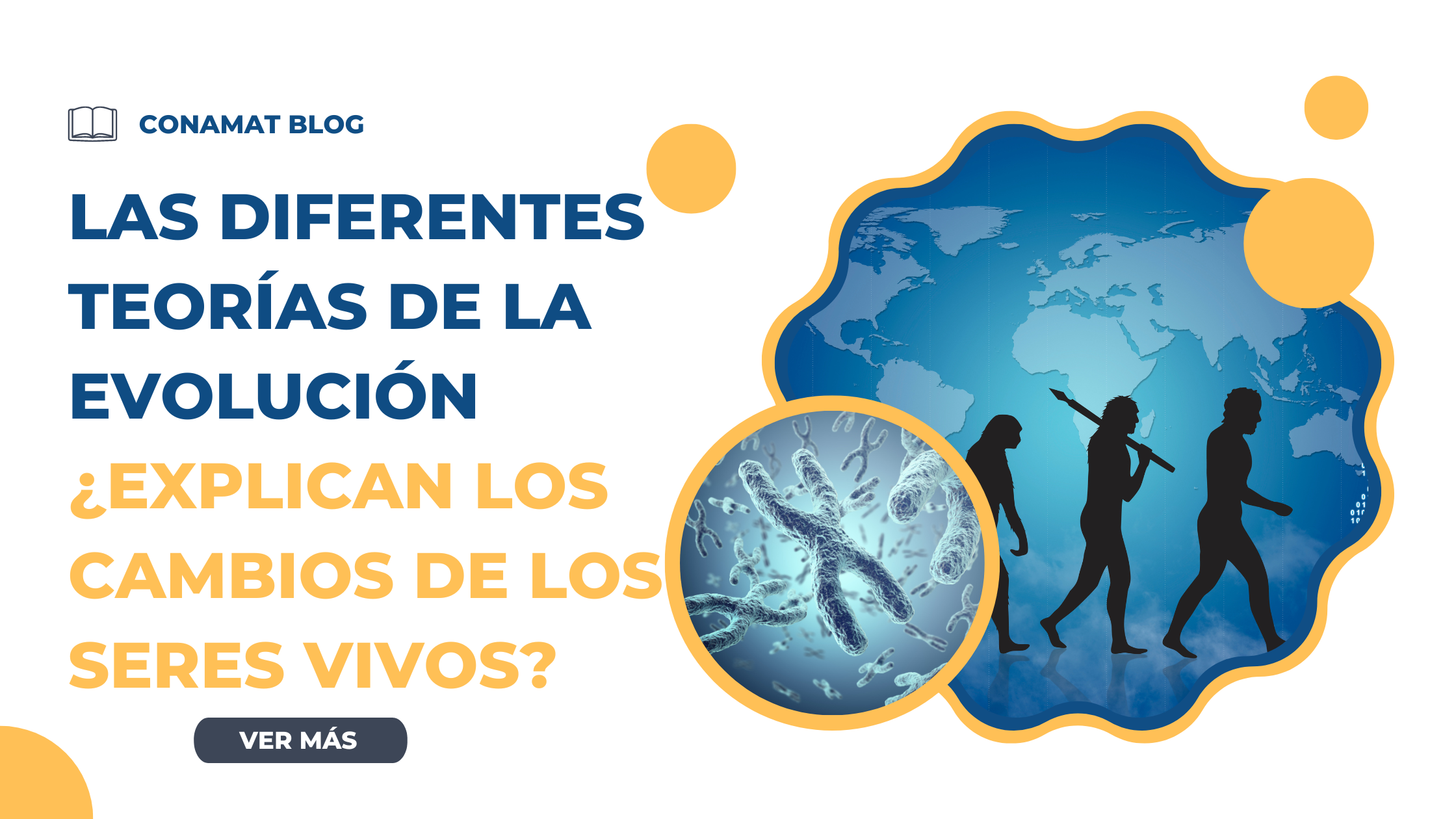 Las diferentes teorías de la evolución. ¿Explican los cambios de los